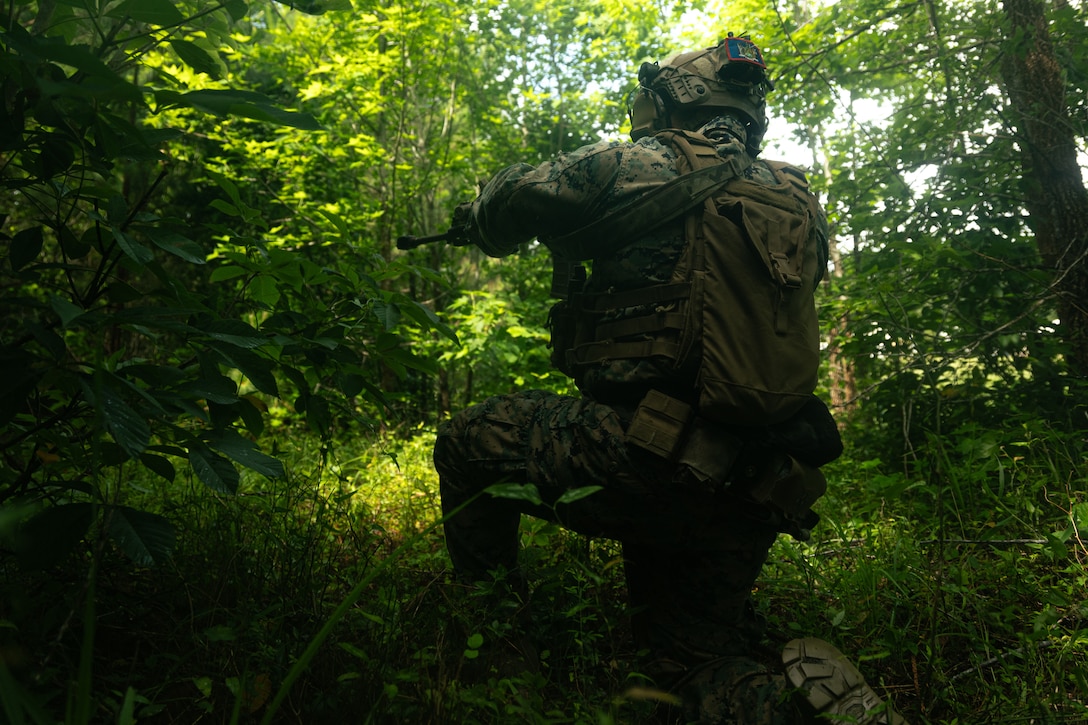 U.S. Marine Corps Lance Cpl. Freddy Vallejosreyes, a team leader with Lima Company, Battalion Landing Team 3/6, 22nd Marine Expeditionary Unit, posts security in the tree line during a simulated non-combatant evacuation operation as part of Iwo Jima Amphibious Ready Group Marine Expeditionary Unit exercise, at Marine Corps Base Stone Bay, North Carolina, May 28, 2025. During ARGMEUEX, the 22nd MEU, aboard IWOARG shipping, conducts various mission essential tasks that enhance operational readiness and lethality as a unified IWOARG/22 MEU team. (U.S. Marine Corps photo by Cpl. Maurion Moore)