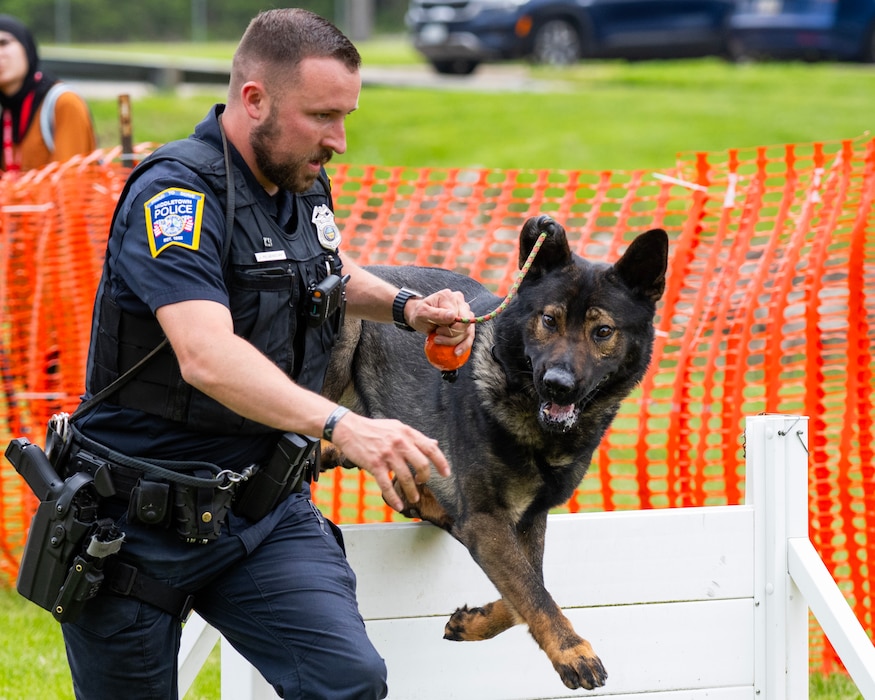 A police officer runs carrying an orange ball as a police dog jumps over an obstacle without taking his eyes off the ball.