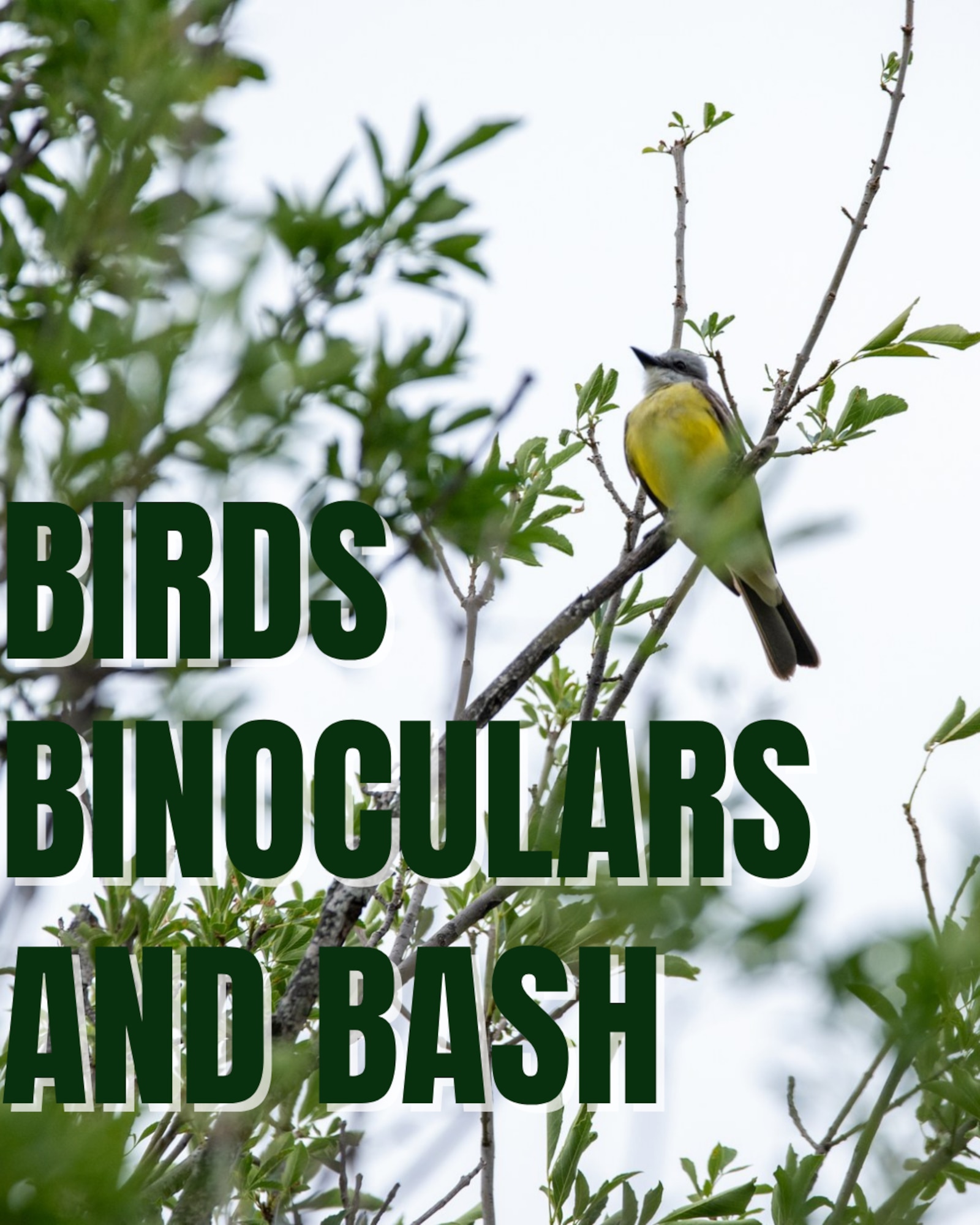 Team XL recently welcomed birdwatchers from across the region to observe the spring migration during its annual birdwatching event.