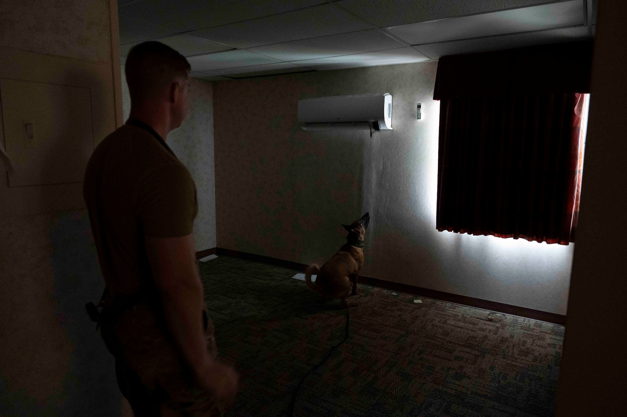 A dog sits with his nose pointed toward a window, while a uniformed man looks on from behind