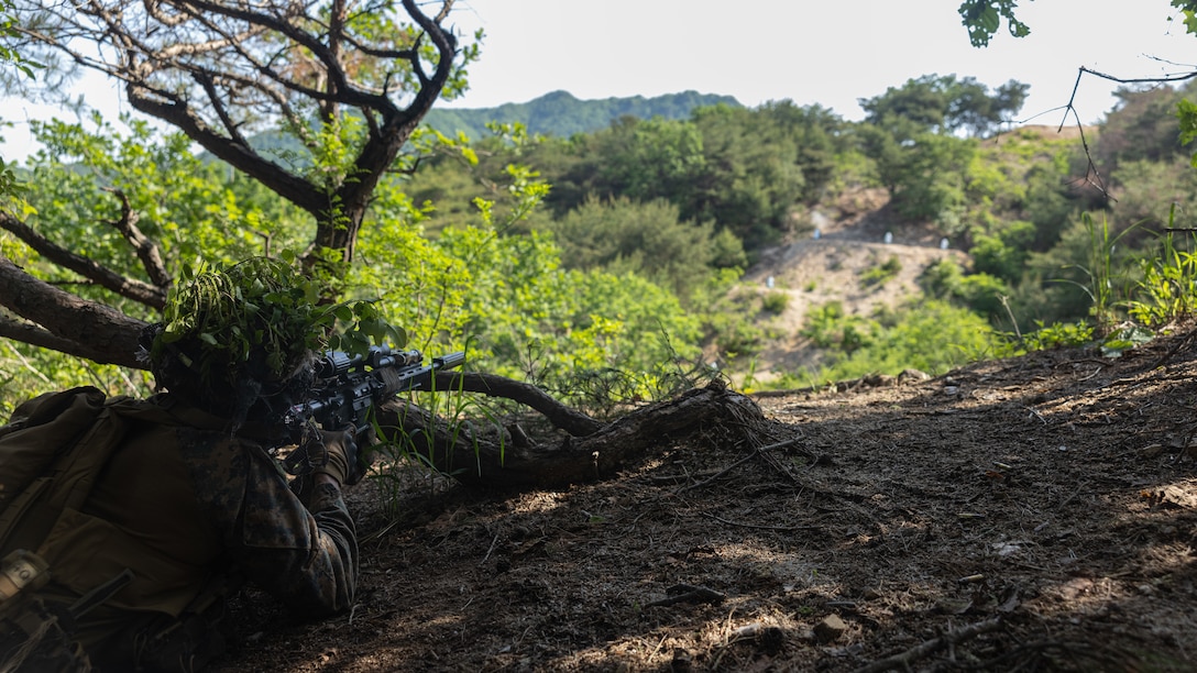 A U.S. Marine with 2nd Battalion, 23rd Marines, forward deployed with 4th Marine Regiment, 3d Marine Division as part of the Unit Deployment Program, conducts a live fire range during a patrol during Korea Viper 25.4 at Camp Rodriguez, South Korea, May 22, 2025. Korea Viper is a recurring exercise series that demonstrates the Republic of Korea and U.S. Marine Corps' ability to respond decisively in the region as a singular, unified force while strengthening relationships and trust between the two allies. (U.S. Marine Corps photo by Lance Cpl. Tucker Mocan)