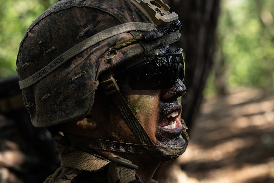 U.S. Marine Corps Cpl. Dangelo Moore, an infantry rifleman with 2nd Battalion, 23rd Marines forward deployed with 4th Marine Regiment, 3d Marine Division as part of the Unit Deployment Program, calls out directions during a live fire range during Korea Viper 25.4 at Camp Rodriguez, South Korea, May 22, 2025. Korea Viper is a recurring exercise series that demonstrates the Republic of Korea and U.S. Marine Corps' ability to respond decisively in the region as a singular, unified force while strengthening relationships and trust between the two allies. Moore is a native of Tennessee. (U.S. Marine Corps photo by Lance Cpl. Tucker Mocan)