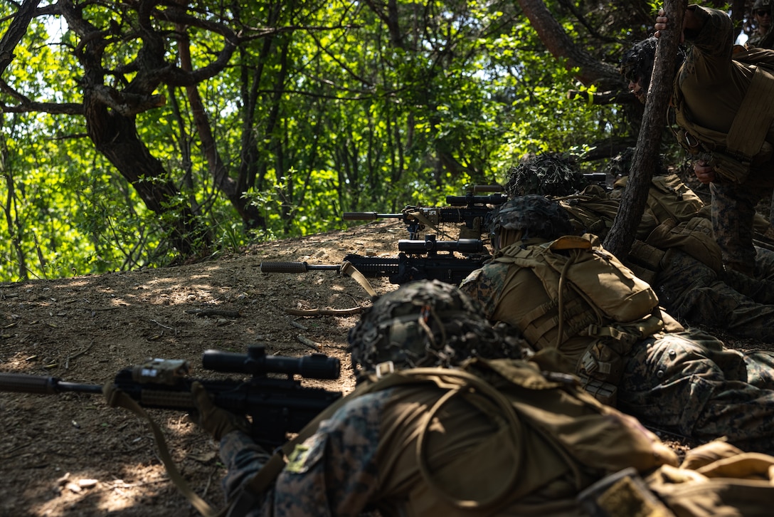 U.S. Marines with 2nd Battalion, 23rd Marines, forward deployed with 4th Marine Regiment, 3d Marine Division as part of the Unit Deployment Program, conduct a live fire range during a patrol during Korea Viper 25.4 at Camp Rodriguez, South Korea, May 22, 2025. Korea Viper is a recurring exercise series that demonstrates the Republic of Korea and U.S. Marine Corps' ability to respond decisively in the region as a singular, unified force while strengthening relationships and trust between the two allies. (U.S. Marine Corps photo by Lance Cpl. Tucker Mocan)