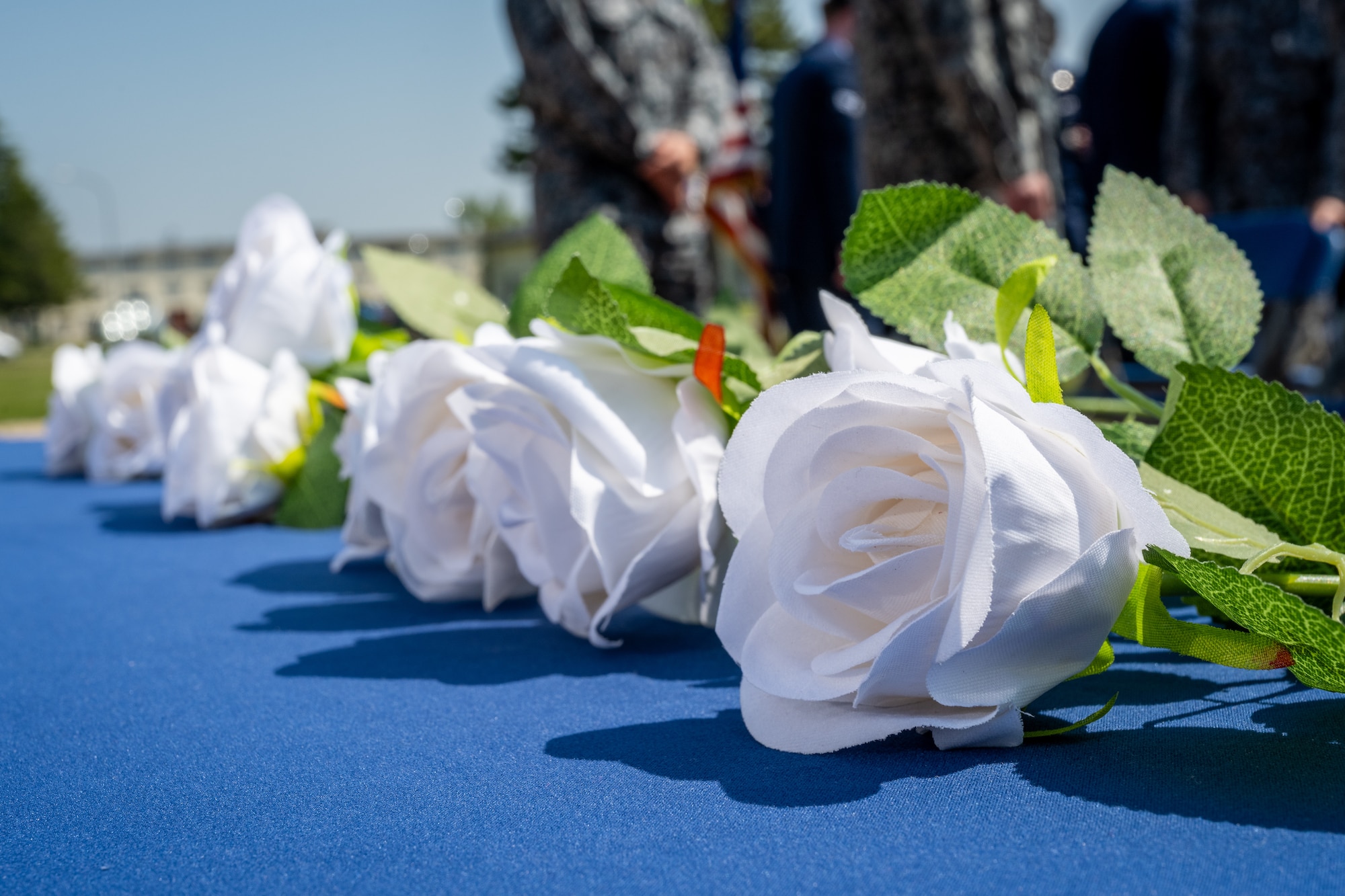 Roses lie on a table