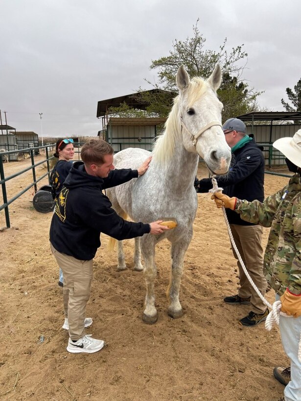Staff Sgt. Justin Callison brushes Sterling as part of a Soldier adaptive therapy program in the local community of Fort Bliss.