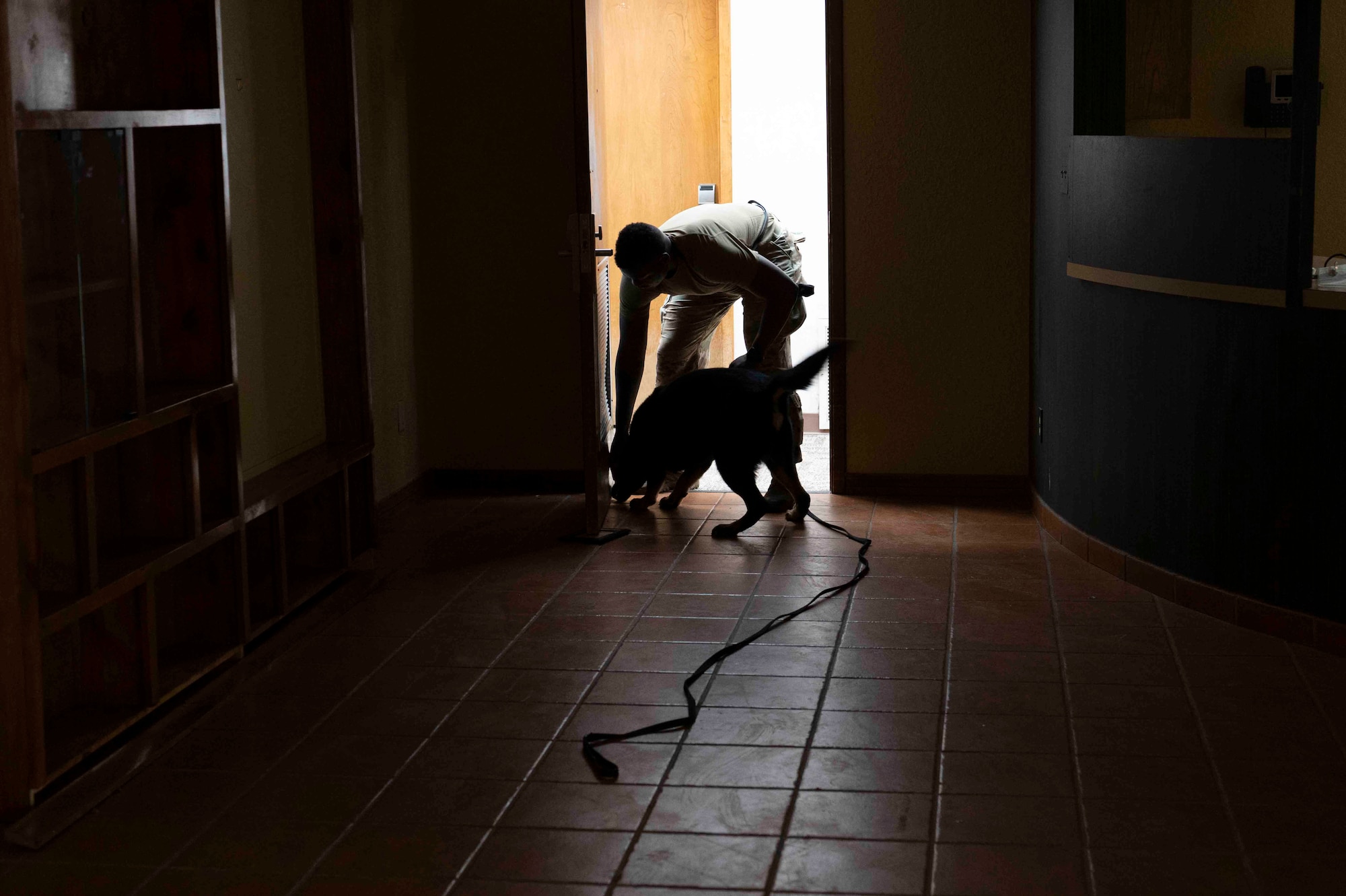 A military working dog and handler are silhouetted by an open door way. The handler points to a spot directly next to the dog's snout.