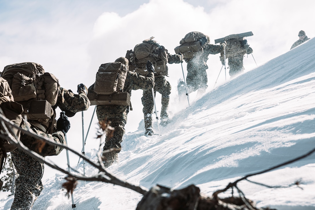 U.S. Marines and Sailors with Combat Logistics Battalion 6, Combat Logistics Regiment 2, 2nd Marine Logistics Group, and 1st Battalion, 6th Marine Regiment, 2d Marine Division, hike as part of a tactical exercise during Mountain Training Exercise 2-25 at Marine Corps Mountain Warfare Training Center Bridgeport, California, March 3, 2025. MTX 2-25 is designed to prepare units to survive, strengthen expeditionary warfare tactics, and build confidence in their abilities to operate in a cold weather, high-altitude, mountainous environment. (U.S. Marine Corps photo by Sgt. Mary Torres)