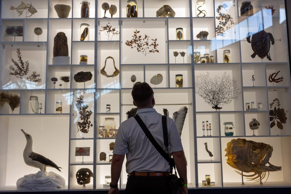 U.S. Marine Corps Lance Cpl. Blake Gonter, combat photographer, Communication Strategy and Operations, U.S. Marine Corps Forces, Pacific, looks at a display at the Bernice Pauahi Bishop Museum, Honolulu, Hawaii, March 31, 2025. MARFORPAC Professional Military Education extends beyond traditional military training to encompass opportunities for Marines to deepen their understanding of the Indo-Pacific region through cultural immersion and historical awareness (U.S. Marine Corps photo by Lance Cpl. Roger-Junior Annoh)