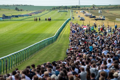 a crowd watching horse races