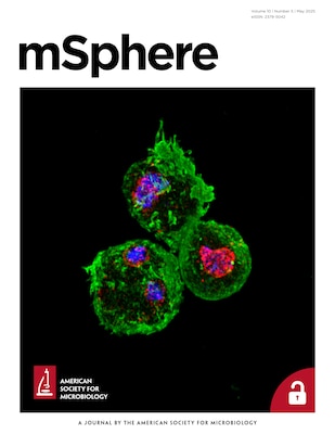 Dictyostelium amoebae on a glass surface, immunoprobed with antiactin (green) and antibody against fucose-O-serine-containing peptides (red) and counterstained with DAPI (blue) for nuclei. (Copyright © 2025 Tiwari et al.
