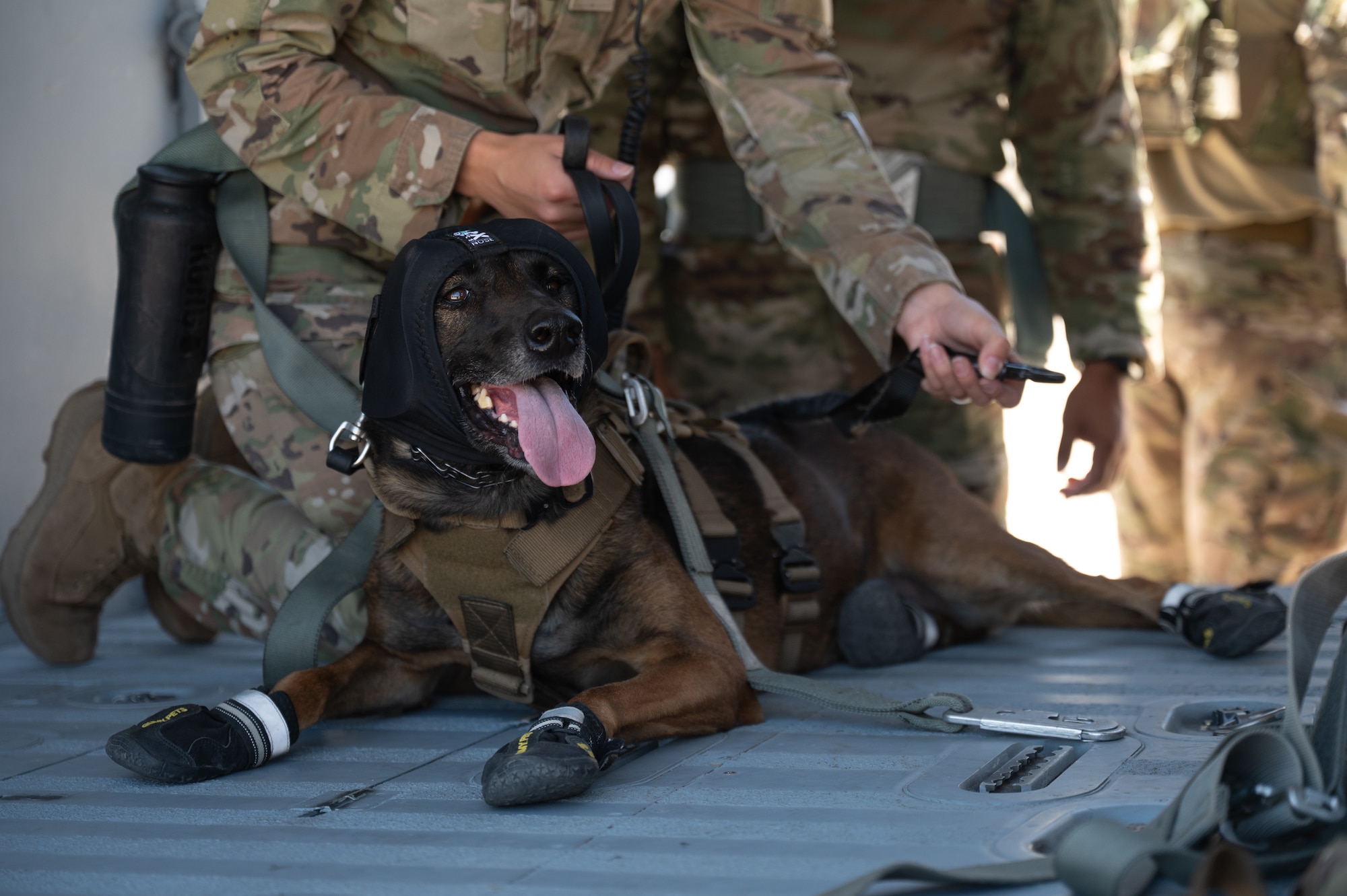 U.S. Air Force Senior Airman Ashley Annaloro, 355th Security Forces Squadron military working dog handler, comforts a MWD on board an HH-60W Jolly Green II helicopter above Davis-Monthan Air Force Base, Arizona, June 3, 2025. MWD handlers personally train their assigned dog in law enforcement tactics, including how to detect drugs and explosives. (U.S. Air Force photo by Airman Jaden Kidd)