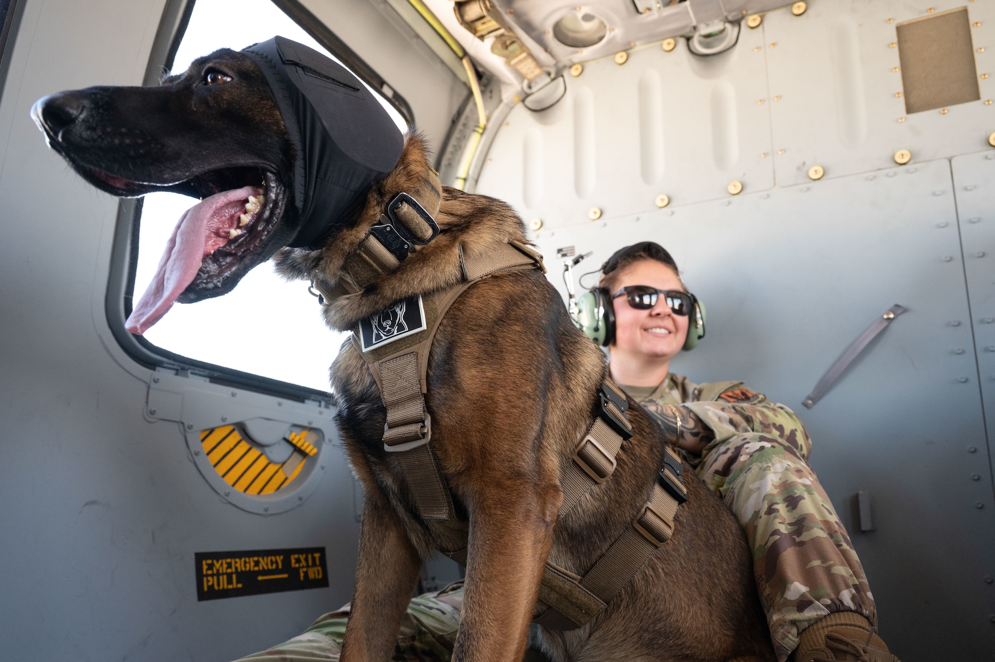 U.S. Air Force Senior Airman Ashley Annaloro, 355th Security Forces Squadron military working dog handler, comforts a MWD on board an HH-60W Jolly Green II helicopter above Davis-Monthan Air Force Base, Arizona, June 3, 2025. MWD handlers personally train their assigned dog in law enforcement tactics, including how to detect drugs and explosives. (U.S. Air Force photo by Airman Jaden Kidd)