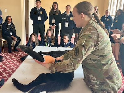 Veterinarian demonstrates care of an injured canine for class.