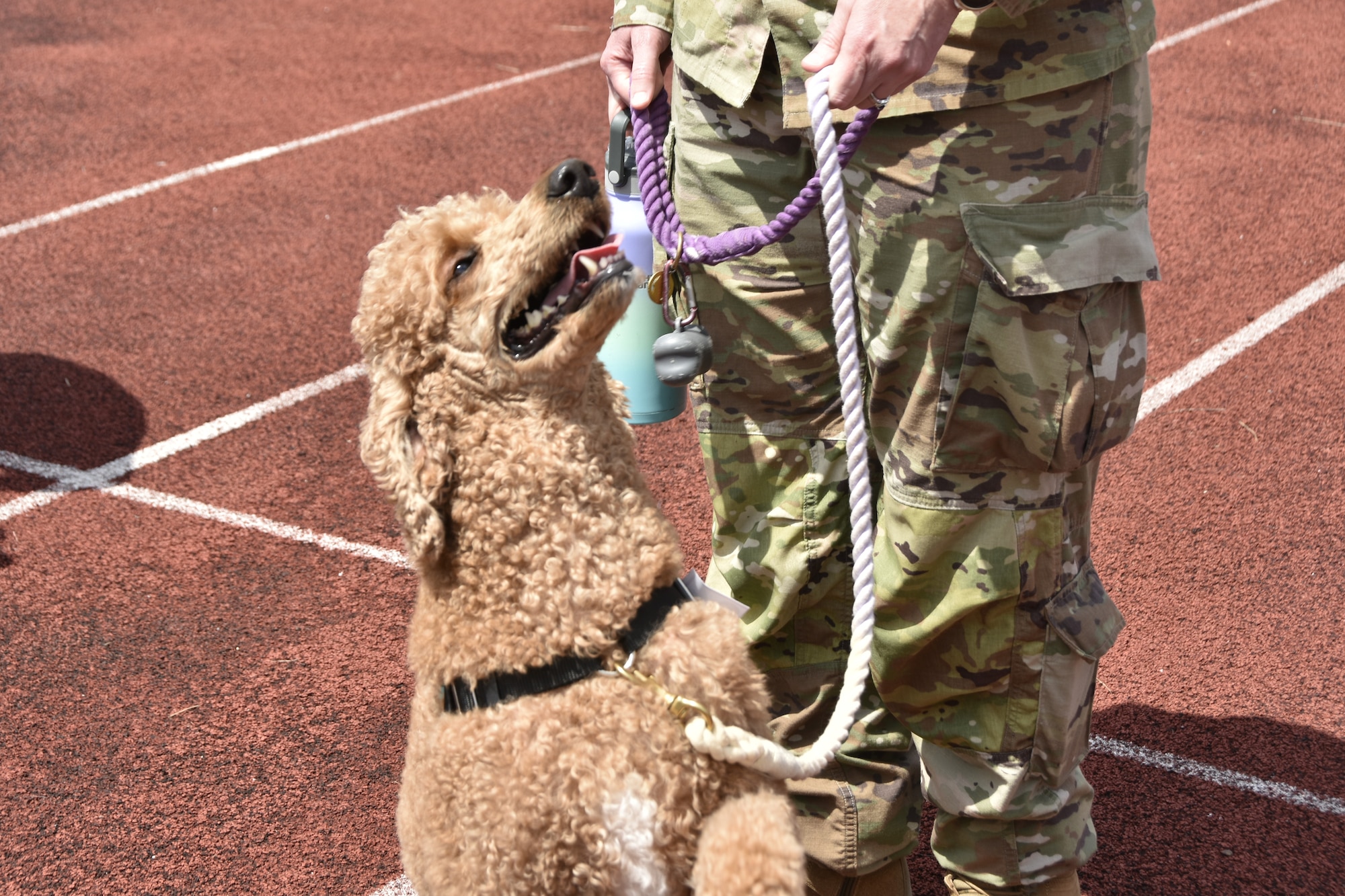 Rossa, the dog belonging to Arnold Engineering Development Complex Senior Enlisted Leader Chief Master Sgt. Jennifer Cirricione, shows off her profile during the “Operation Pupsicle” event hosted on May 15, 2025, by the Arnold Engineering Development Complex Information Protection Office at Arnold Air Force Base, Tenn., headquarters of AEDC, to coincide with National OPSEC Awareness Month. The AEDC IP team held events throughout May to promote the importance of operations security, more commonly referred to as OPSEC, among the AEDC workforce. (U.S. Air Force photo by Kali Bradford)