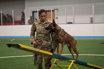 Senior Airman Alexis Smith, 319th Security Forces Squadron military working dog handler, guides Ttommaso, 319th Security Forces Squadron MWD, through a dog agility course during the inaugural Police Week Top Dog of the Tundra Competition at Grand Forks Air Force Base, N.D., May 13, 2025.