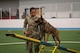 Senior Airman Alexis Smith, 319th Security Forces Squadron military working dog handler, guides Ttommaso, 319th Security Forces Squadron MWD, through a dog agility course during the inaugural Police Week Top Dog of the Tundra Competition at Grand Forks Air Force Base, N.D., May 13, 2025.