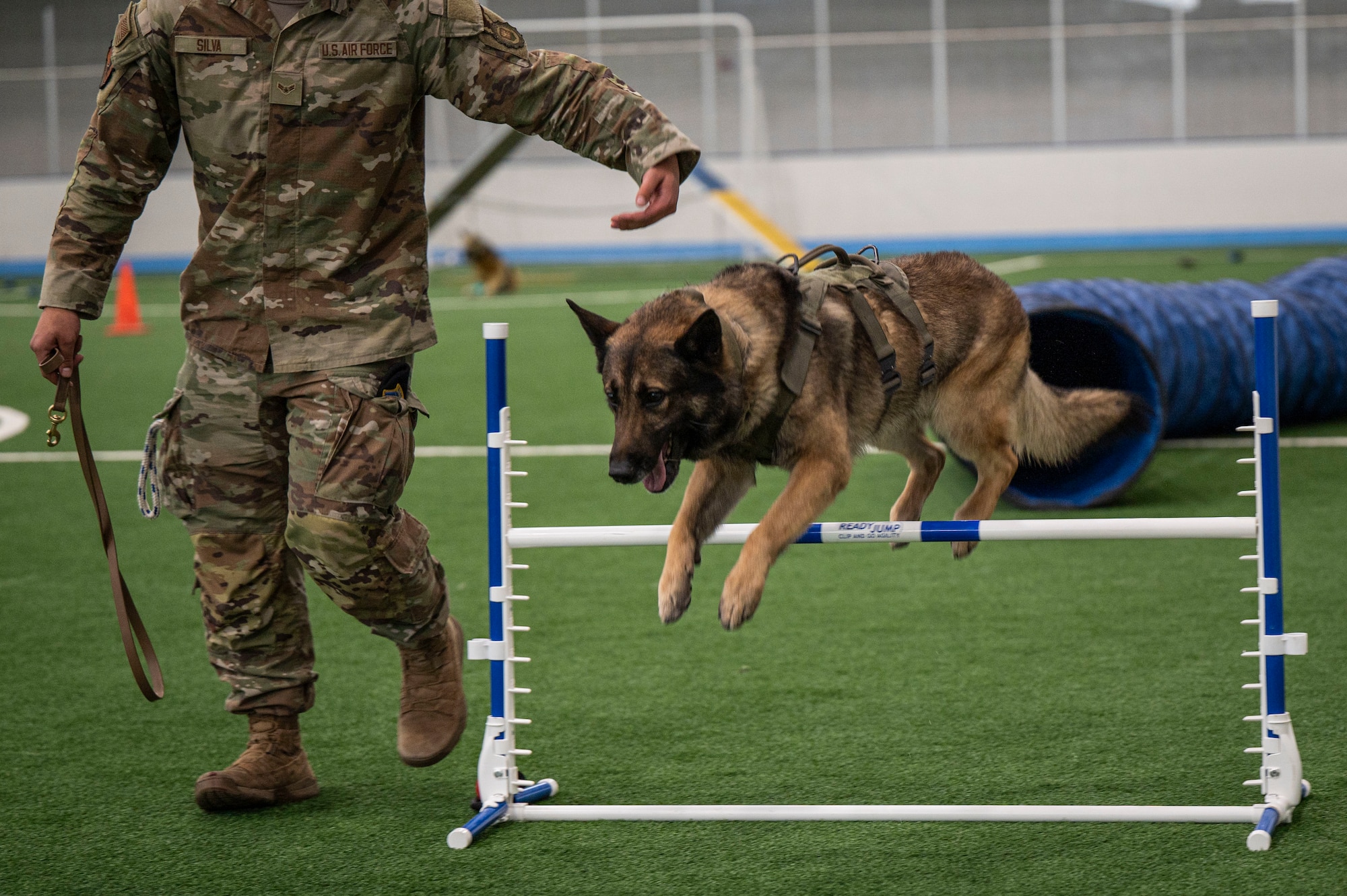 Airman 1st Class Joseph Silva, 5th Security Forces Squadron military working dog handler assigned to Minot Air Force Base N.D., runs his partner Hexo, through a dog agility course during the inaugural Police Week Top Dog of the Tundra Competition at Grand Forks Air Force Base, N.D., May 13, 2025.