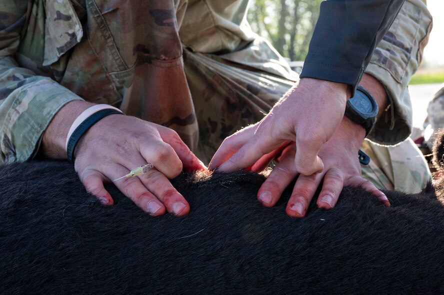 Senior Airman Caleb Manges, 319th Security Forces Squadron military working dog handler, is tested on his tactical combat casualty care knowledge during the inaugural Police Week Top Dog of the Tundra Competition at Grand Forks Air Force Base, N.D., May 13, 2025.