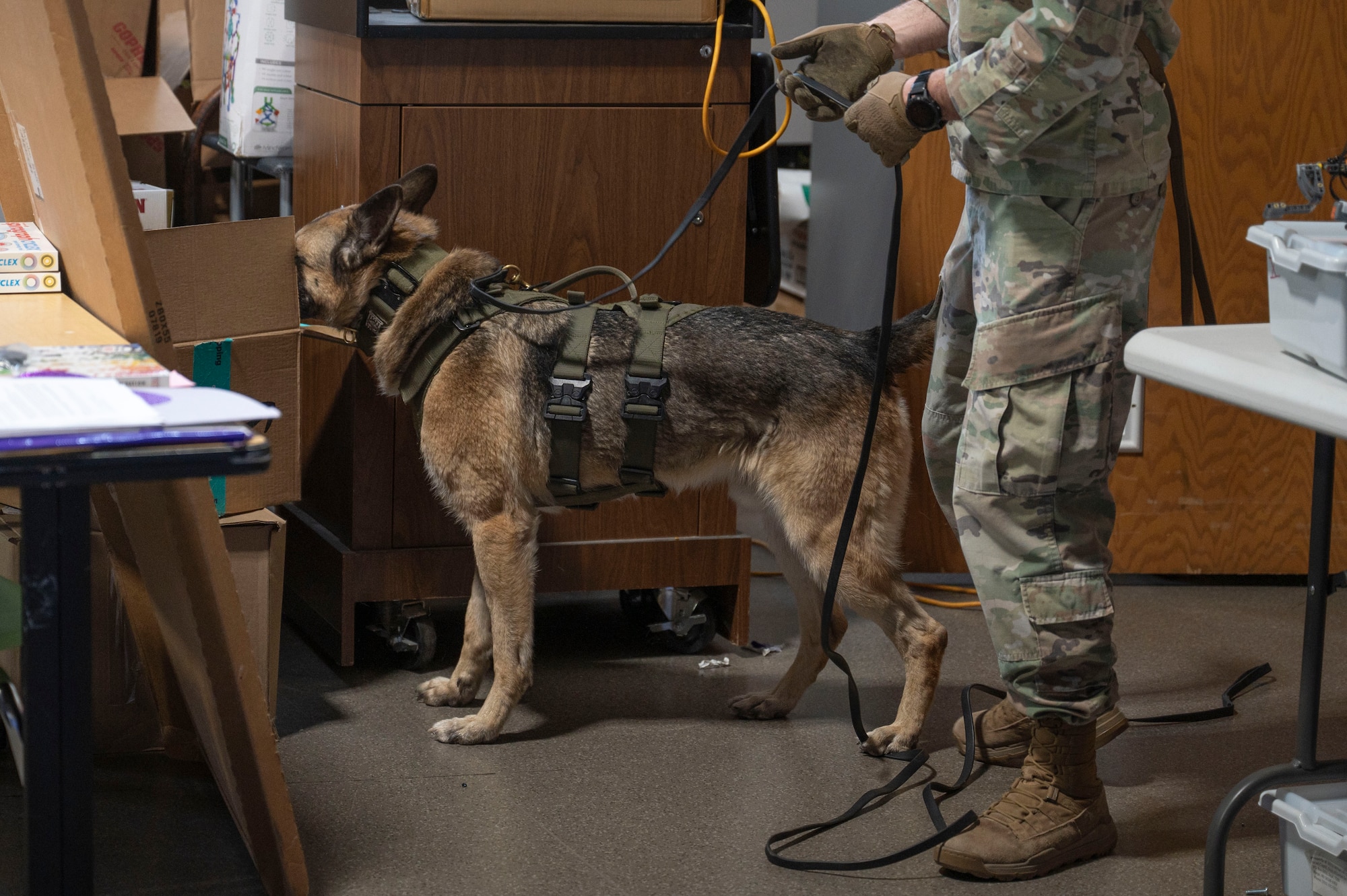 A military working dog team from Minot Air Force Base, N.D., conducts a detection exercise as part of the inaugural Police Week Top Dog of the Tundra Competition at Grand Forks Air Force Base, N.D., May 13, 2025.