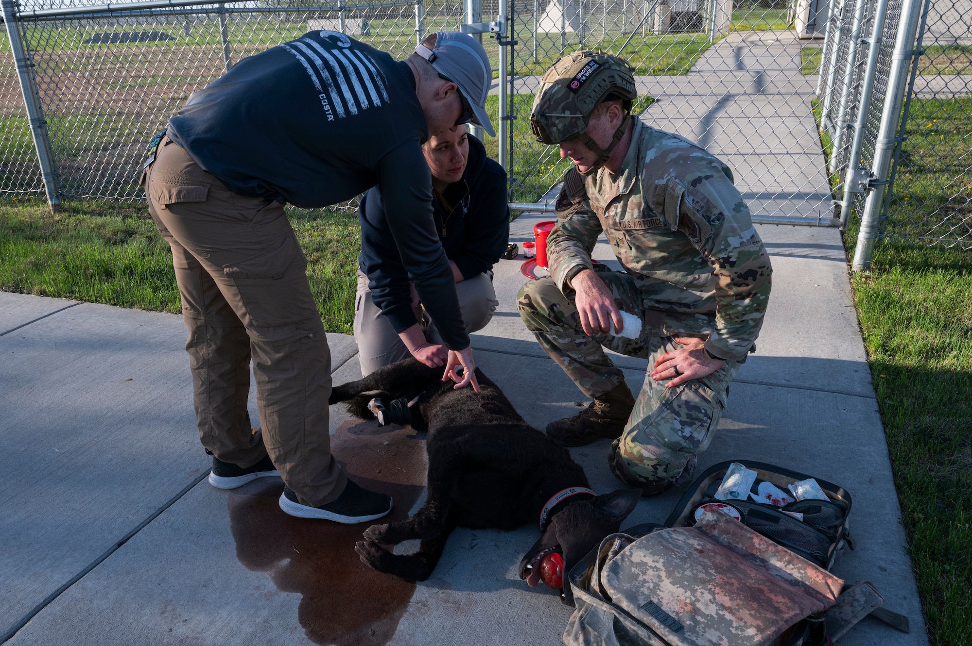 U.S. Army Capt. Joshua Middleton, veterinary corps officer of the Veterinary Readiness Activity assigned to Minot Air Force Base, N.D.; and Staff Sgt. Sally Dolance, animal care specialist of the VRA assigned to Minot AFB, review tactical combat casualty care with U.S. Air Force Staff Sgt. James Edwards, 319th Security Forces Squadron military working dog handler, at Grand Forks Air Force Base, N.D., May 13, 2025.