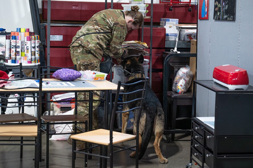 A 319th Reconnaissance Wing military working dog team conducts a substance detection exercise as part of the inaugural Police Week Top Dog of the Tundra Competition at Grand Forks Air Force Base, N.D., May 13, 2025.