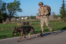 Staff Sgt. James Edwards, 319th Security Forces Squadron military working dog handler, participates in a Police Week ruck with his partner, Zorro, 319th SFS MWD, at Grand Forks Air Force Base, N.D., May 13, 2025.