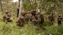 U.S. Marines with 2nd Battalion, 1st Marine Regiment, Marine Rotational Force – Darwin 25.3, conduct communications checks during Exercise Southern Jackaroo at Townsville Field Training Area, Queensland, Australia, May 30, 2025.