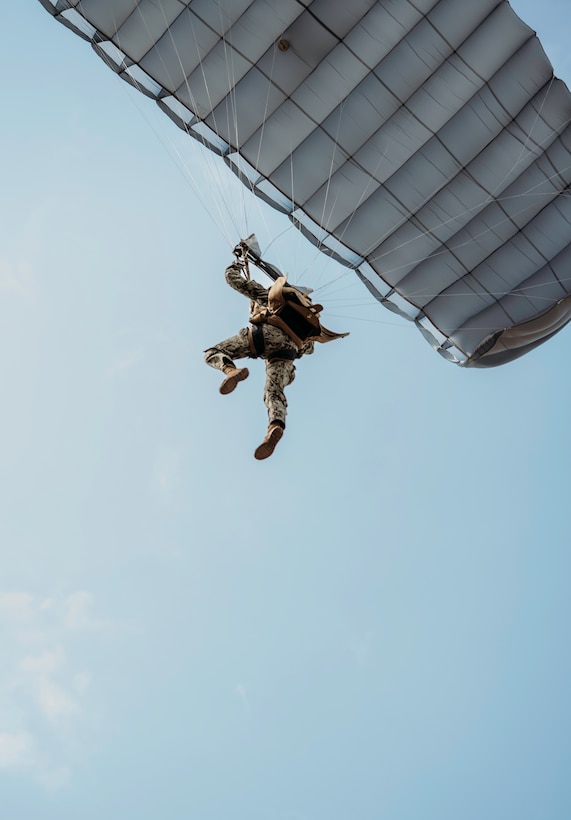 Commemorative jump at Le Mont-Saint-Michel, France
