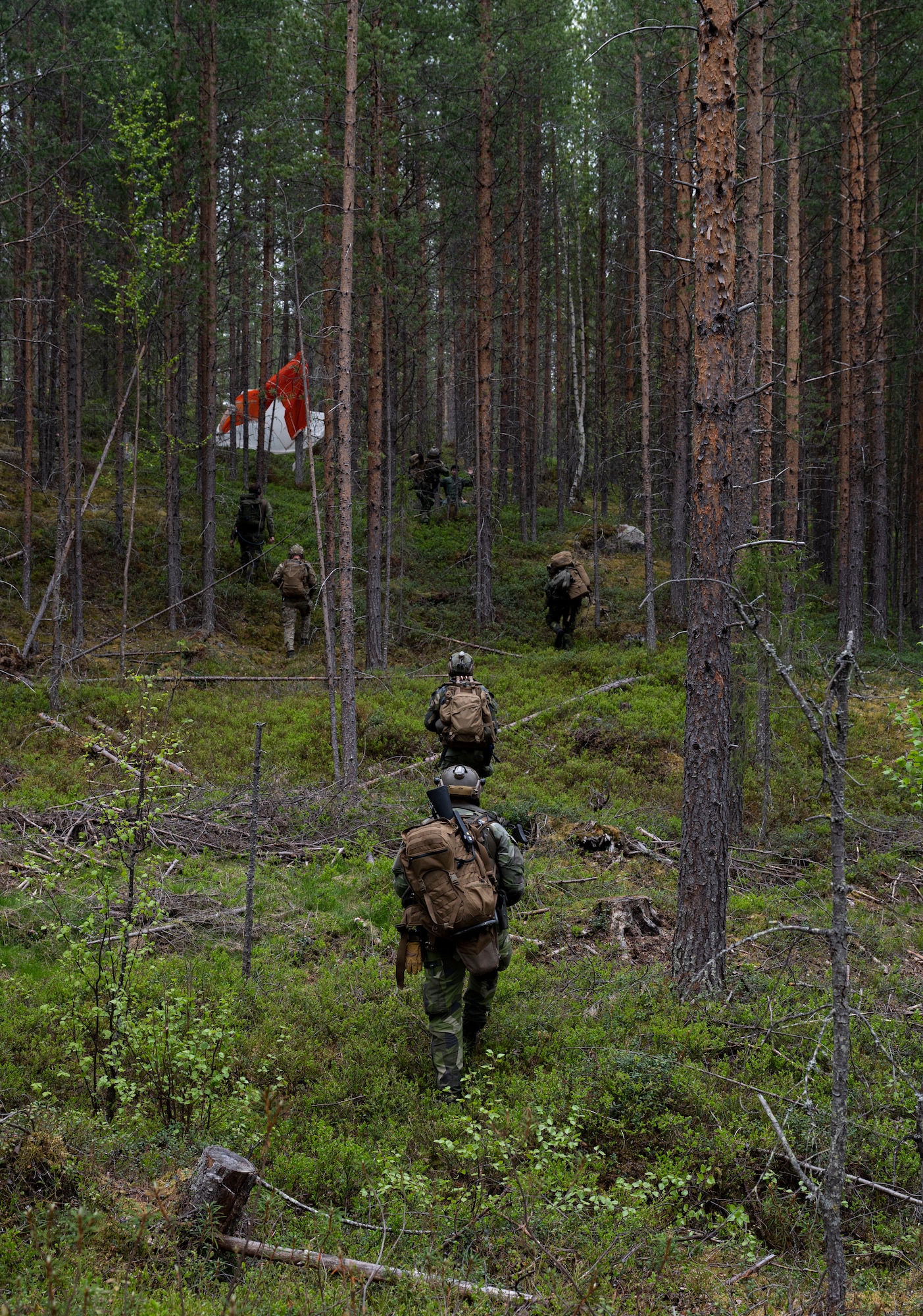 men walking in forest