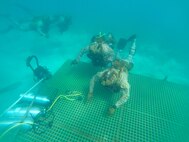 Exercise Caribbean Coastal Warrior 25: Infiltration and Exfiltration Procedures