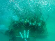 Exercise Caribbean Coastal Warrior 25: Infiltration and Exfiltration Procedures
