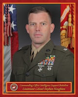 Commanding Officer
Intelligence Support Battalion