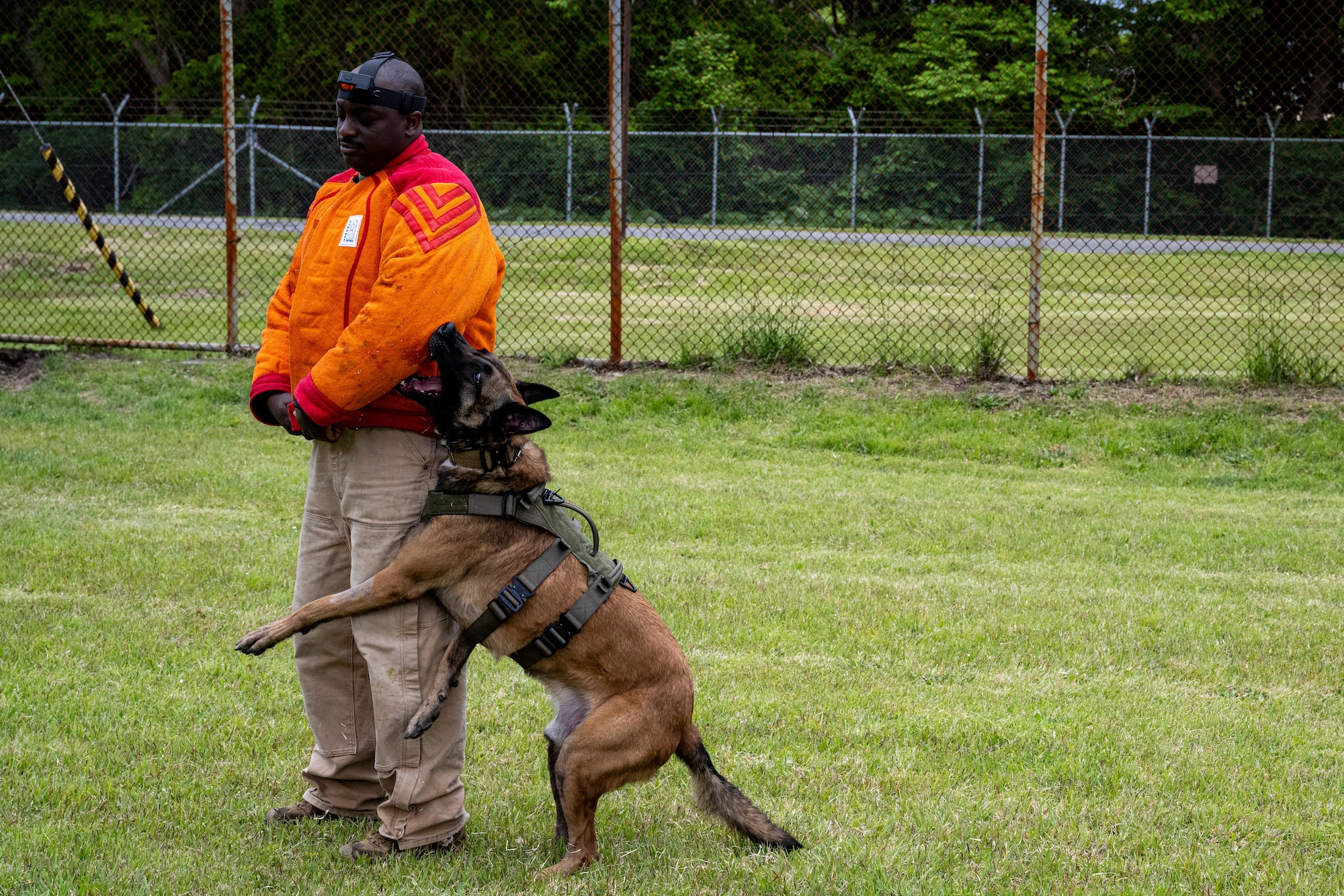 Clinton, 35th Security Forces Squadron (SFS) military working dog (MWD), releases U.S. Air Force Senior Airman Sankung Barrow, 35th SFS MWD trainer, during a demonstration