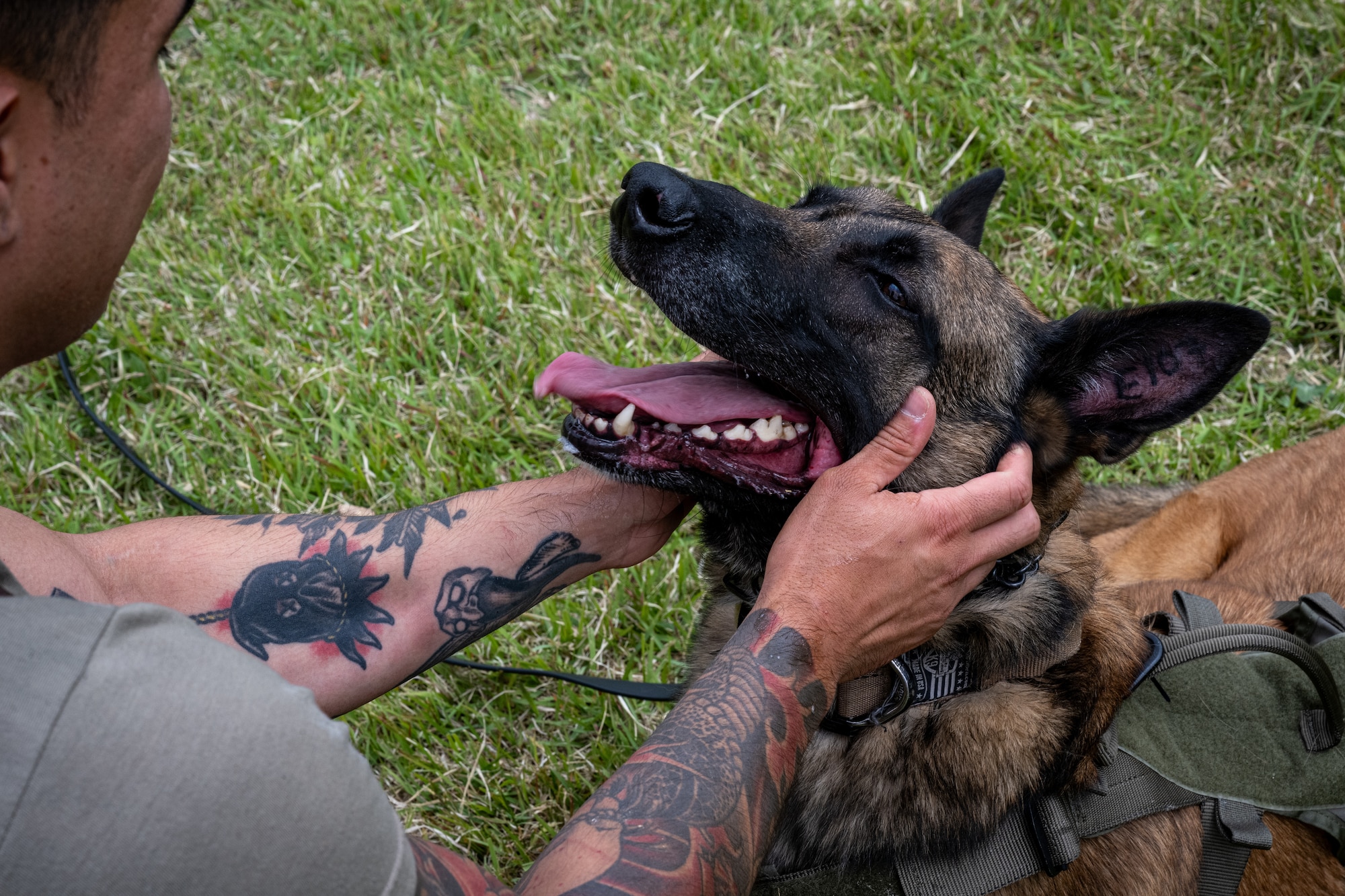 U.S. Air Force Staff Sgt. Kanejoshua Smoot, 35th Security Forces Squadron (SFS) military working dog (MWD) trainer, pets Clinton