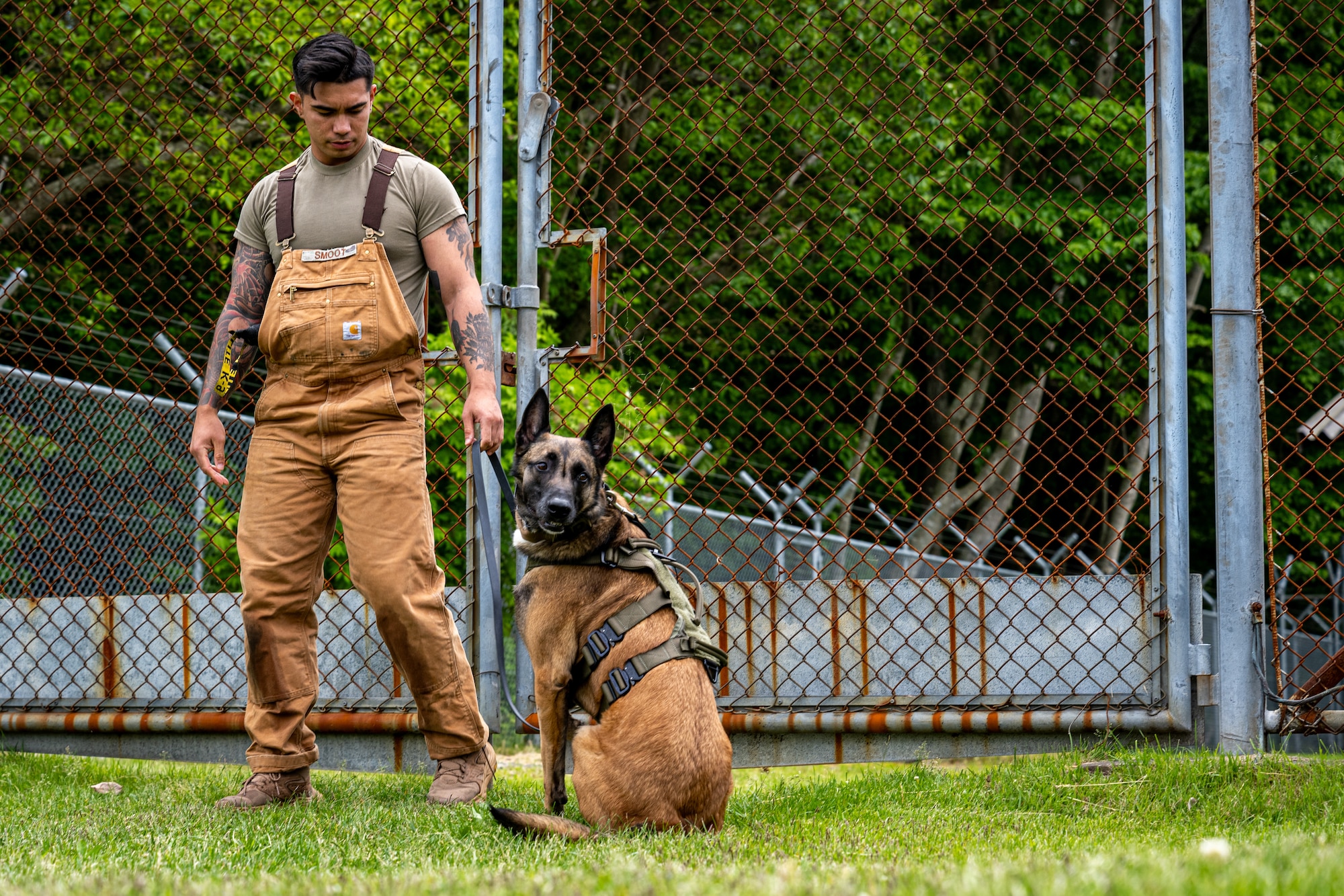 U.S. Air Force Staff Sgt. Kanejoshua Smoot, 35th Security Forces Squadron (SFS) military working dog (MWD) trainer, and Clinton, 35th SFS MWD, prepare for a demonstration