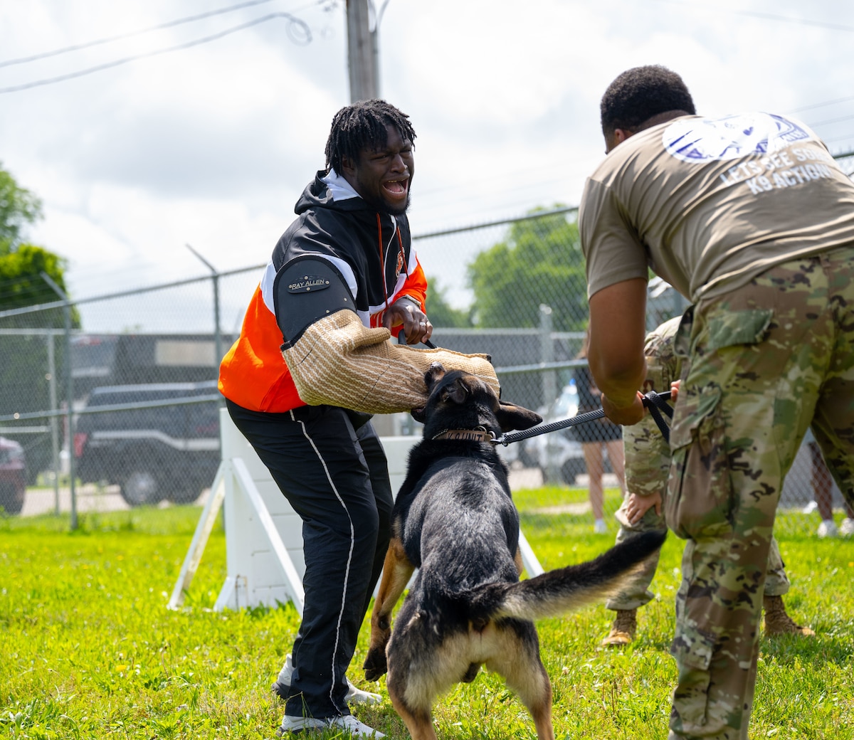 Demetrius Knight, Cincinnati Bengals rookie, is bitten on the arm by Military Working Dog Lux during a training scenario.