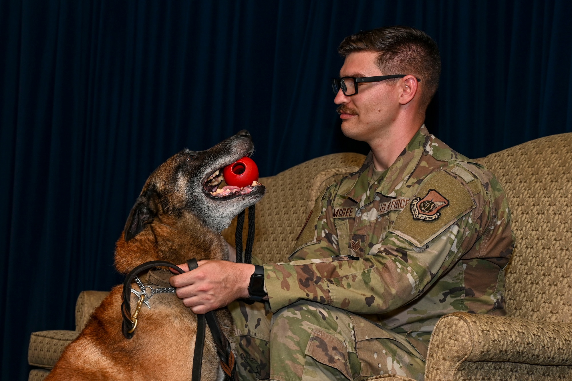 MWD Edy holds a toy in his mouth in front of his handler.