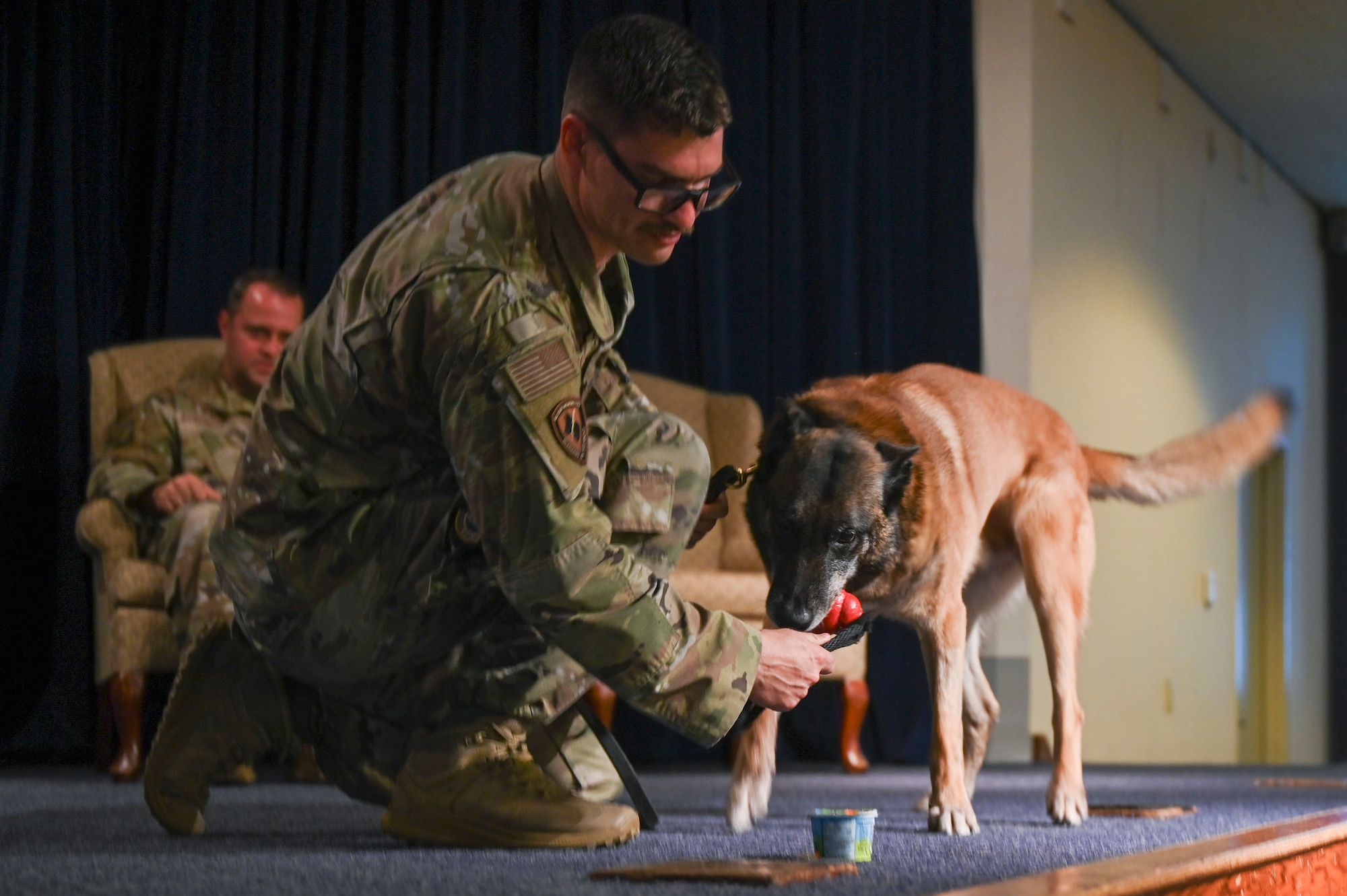 A MWD Handler grabs a dog toy from MWD Edy.