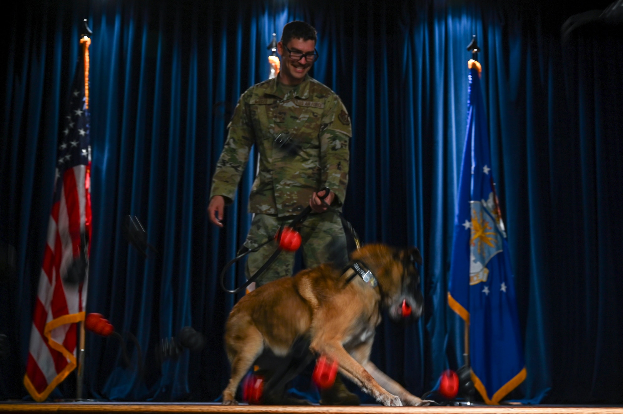 A MWD tries to fetch toys from other handlers.