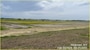 Project Managers Jason Dickard, P.E., and Jase Ray, E.I. and their project delivery team successfully completed the Island 8 Parcel 2, Seepage Remediation Project in partnership with Fulton County, Kentucky Board of Levee Commissioners, and contractor Jerry B. Young Construction, May 30, 2025.   

The  Island 8 Parcel 2, Seepage Remediation Project ensures the integrity of the Mississippi River levee embankment during flood events, reducing the risks to both life safety and property in Fulton County, Kentucky, as well as surrounding communities, including Lake County, Obion County and Dyer County, Tennessee. 

The project installed 79 relief wells discharging into 12,000 linear feet of subsurface piping, 1900 linear feet of new drainage ditches, five culvert replacements, and executed 1.6 miles of clearing along Running Slough. 

The newly installed relief wells prevent levee underseepage and sand boils by collecting and draining the water in a safe, controlled manner.