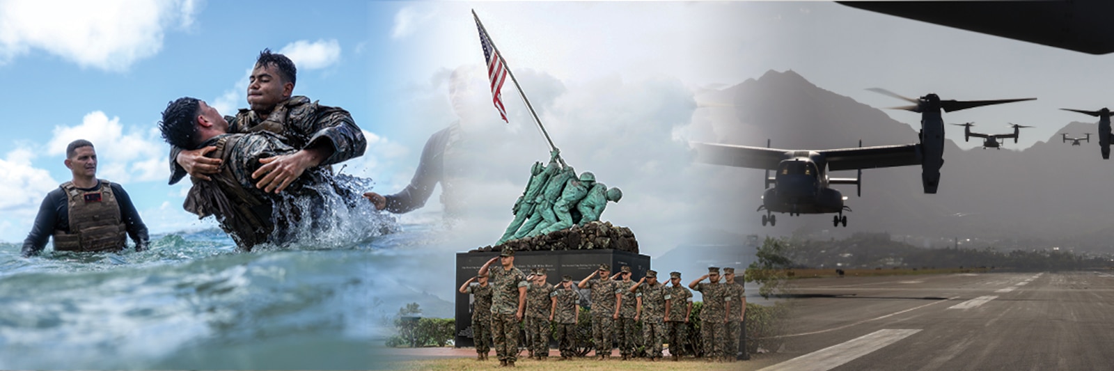 Website Banner