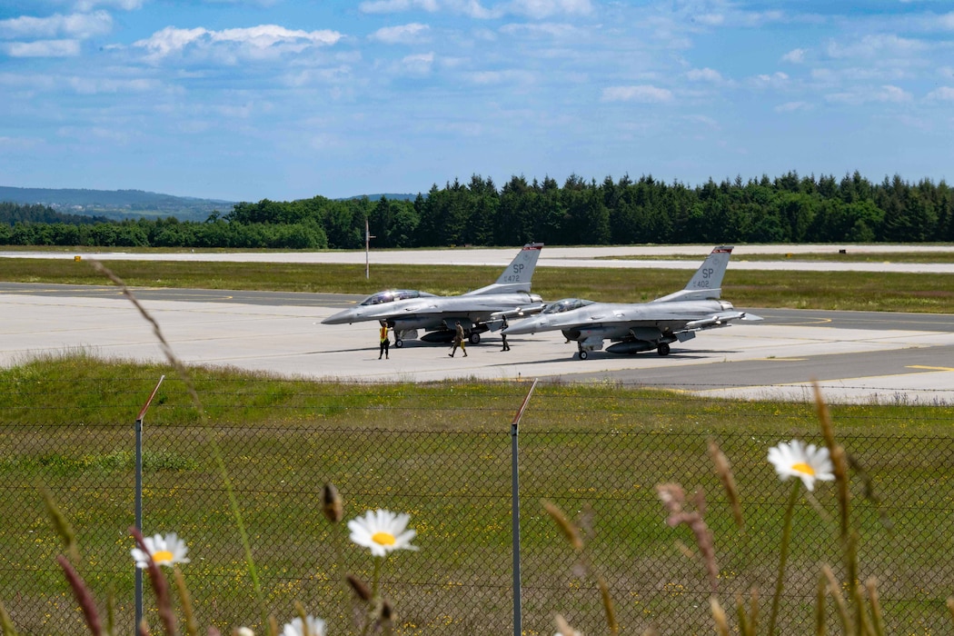 Two fighter aircraft wait on the flightline next to a grassy area with flowers.