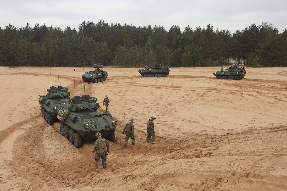 Four Marines gather near a light armored vehicle as four others are parked behind in sand in a circular formation near a wooded area.