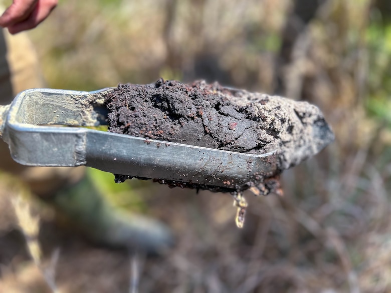 An auger showing a hydric soil sample on Brosnan Forest.