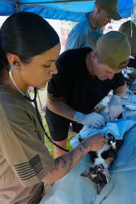 U.S. Army Capt. Andrew McCalla, right, and Pfc. Olivia Reyes, both assigned to 72nd Medical Detachment Veterinary Service Support, conduct spay surgery on a cat during a spay and neuter clinic, as part of Pacific Partnership 2025, in Suva, Fiji, June 9, 2025.