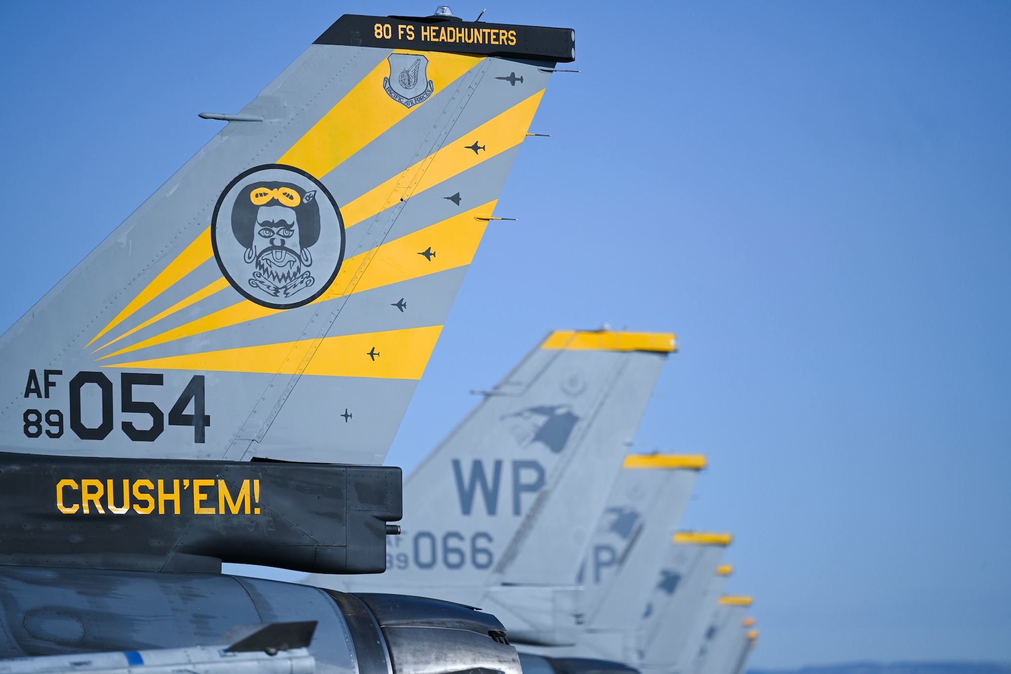 F-16 Fighting Falcons from the 80th Fighter Squadron are parked on the flightline at Eielson Air Force Base, Alaska, June 12, 2025.