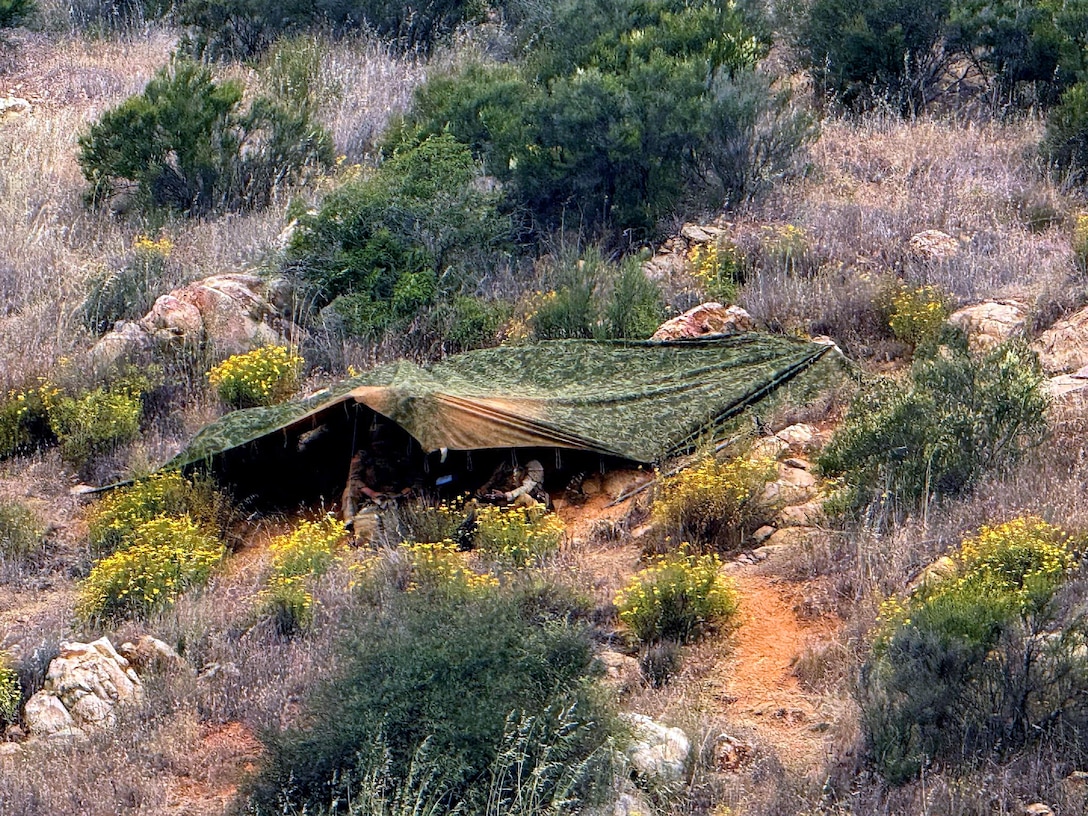 Soldiers sit under a camouflage canopy in a rocky area with desert-like vegetation and patches of yellow flowers.