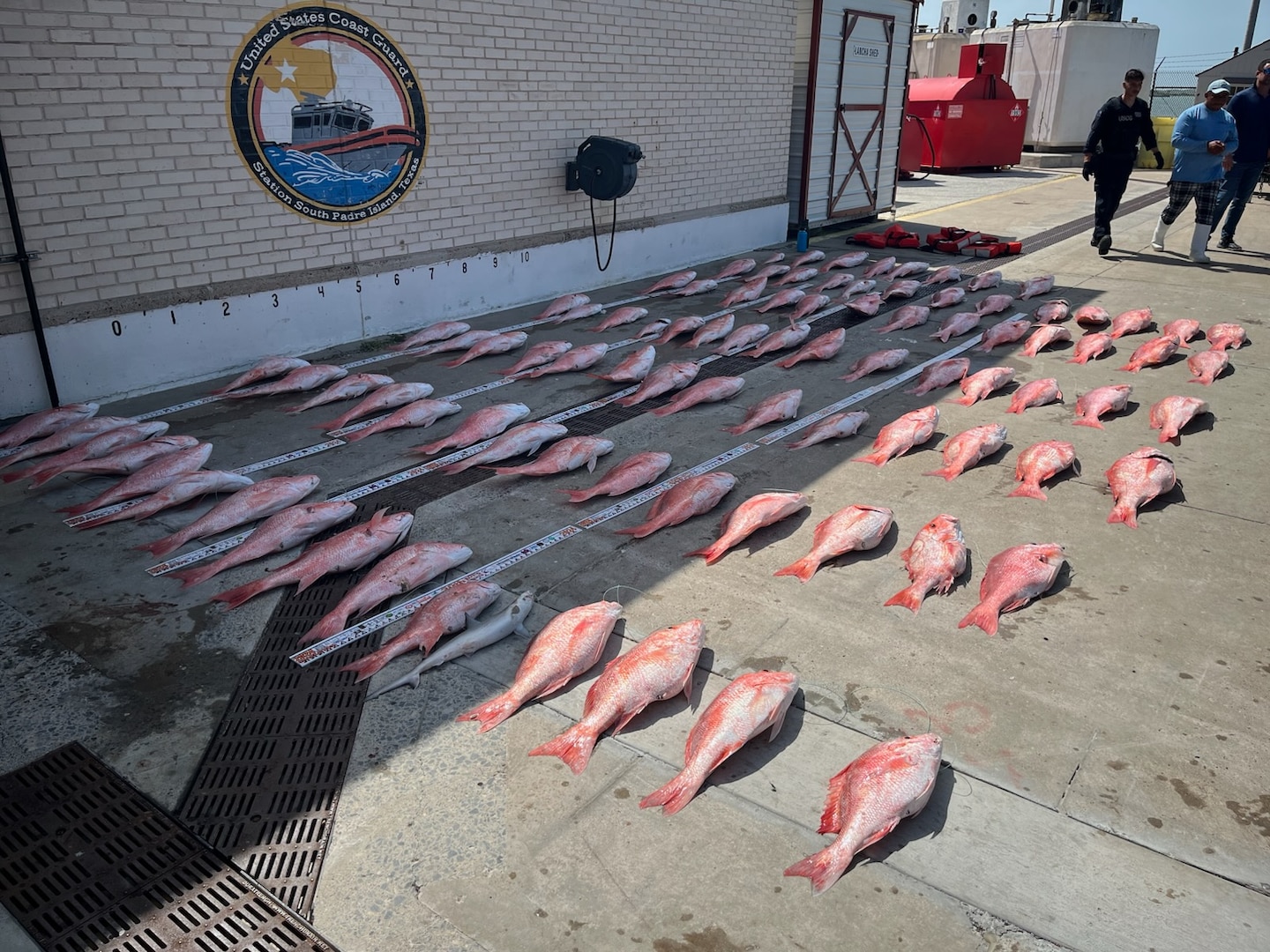 A 33-foot Special Purpose Craft Law Enforcement boat crew from Coast Guard Station South Padre Island surveys a Mexican lancha offshore the southern Texas coast, June 13, 2025. Coast Guard crews detained 12 Mexican fishermen and seized 1,500 pounds of red snapper. (U.S. Coast Guard photo, courtesy Station South Padre Island)