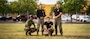 U.S. Marine Corps photo by Cpl. Francisco Angel