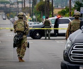 Federal Protection Mission